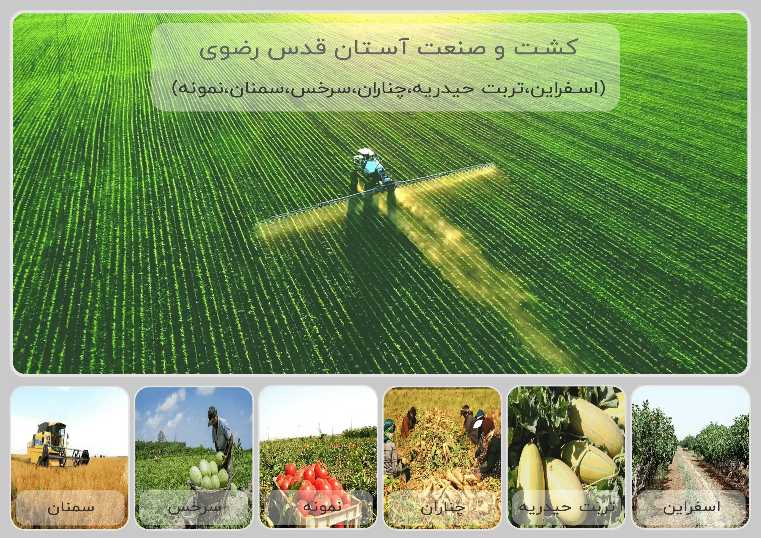 کشاورزی هوشمند و کشت و صنعت آستان قدس رضوی-درباره ست پلت
